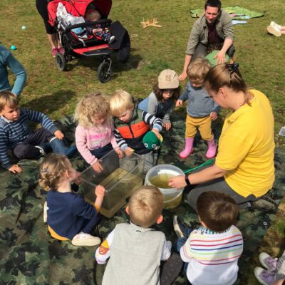 tadpoles