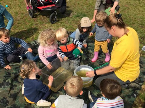 tadpoles
